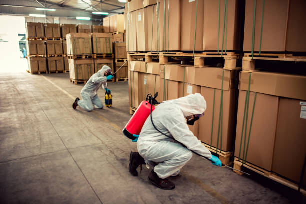 Reliable Windsor, PA Pest Control Solutions