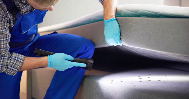 Best Emergency Pest Control  in Windsor, PA