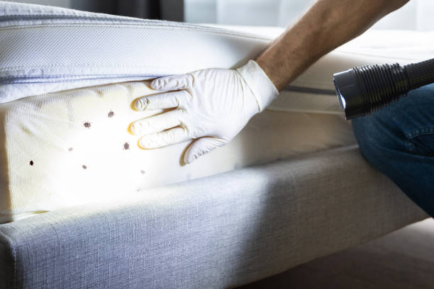 Best Residential Pest Control  in Windsor, PA