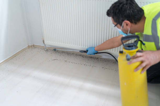 Best Affordable Pest Control Services  in Windsor, PA