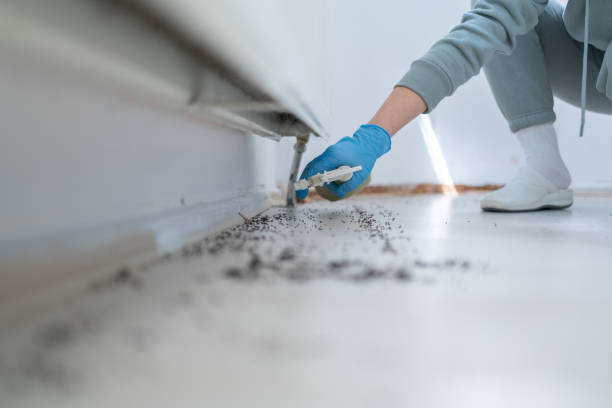 Best Residential Pest Control  in Windsor, PA