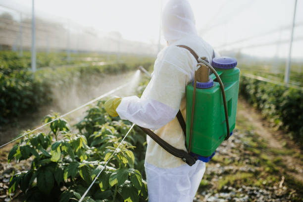 Best Exterminator Services  in Windsor, PA
